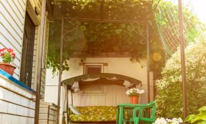 Vine Canopy Design that Beautiful and Pleasing to the Eye